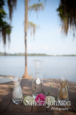 Best Paradise Cove at Buena Vista Watersports in Orlando, Florida wedding photographer - Sandra Johnson (SJFoto.com)